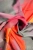 apaszka-dahlia-3.webp