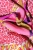 apaszka-chain-3.webp